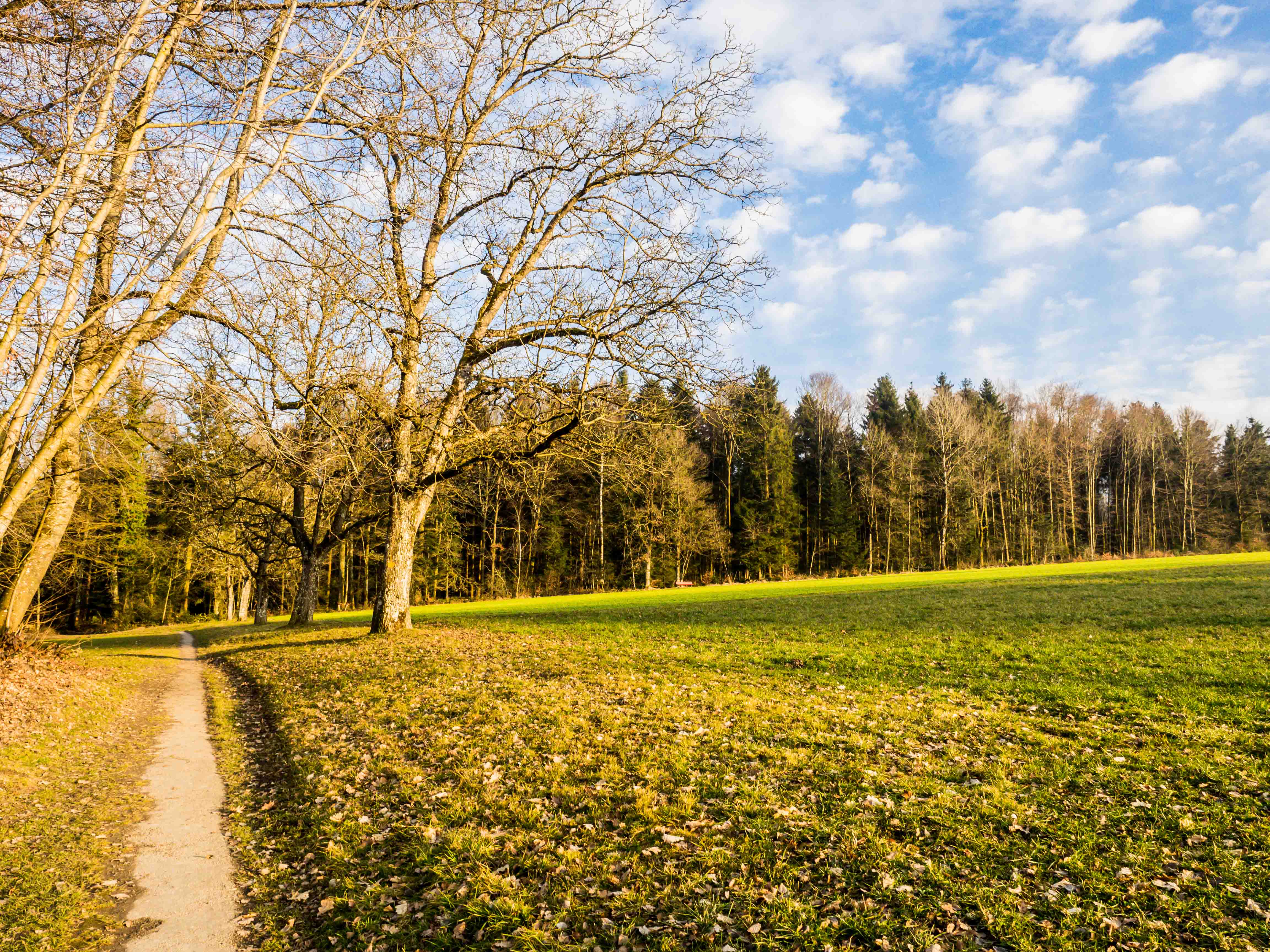 20130209 046 Pano